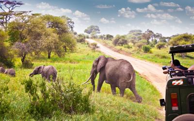 Tanzania | Serengeti NP