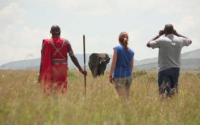 Tanzania | Serengeti NP