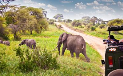 Serengeti National Park  | Tanzánie