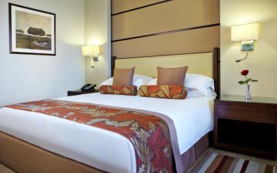 Khalidiya Palace Rayhaan by Rotana - Classic Room