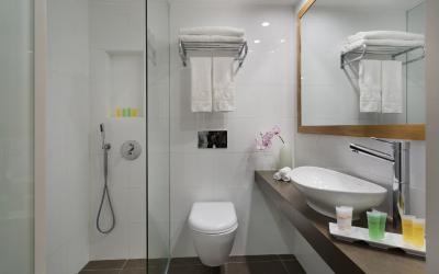 Oasis Dead Sea - Standard Room - koupelna
