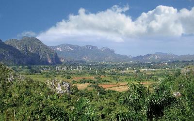 Vinales1