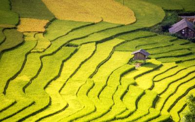 Vietnam | Sapa 