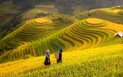 Vietnam | Sapa