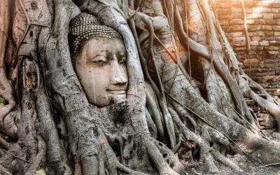 Ayutthaya 3