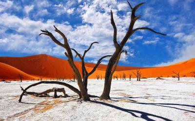 Namibie | Sossusvlei & Dead Vlei