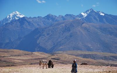 Peru | Andy