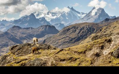 Argentína | Cordillera de los Andes