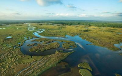 USA | Everglades NP