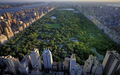 USA | New York - Central Park