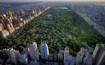 USA | New York - Central Park