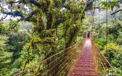 Kostarika | Monteverde
