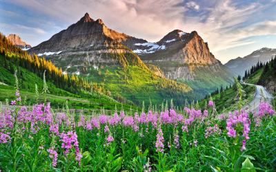 Kanada | Glacier NP