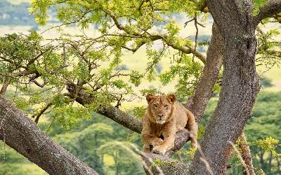 Uganda | Queen Elizabeth National Park