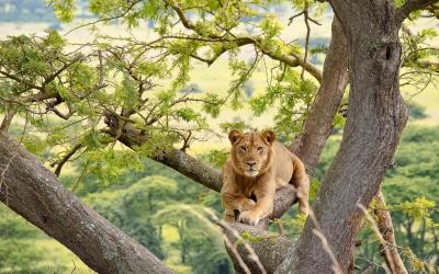 Uganda | Queen Elizabeth National Park