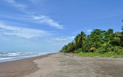 Kostarika | Playa de Tortuguero 