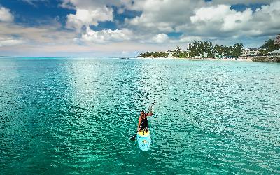 Paddle Board