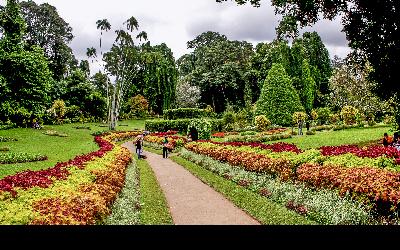Srí Lanka | Kandy_Perideny Gardens