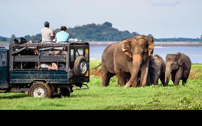 Srí Lanka | Yala National Park