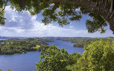 Panama | Gatun Lake