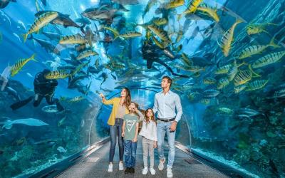 SAE | Dubaj_Aquarium