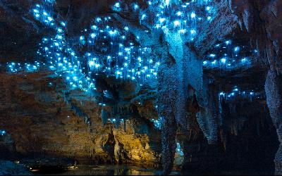 Nový Zéland | Waitomo Caves