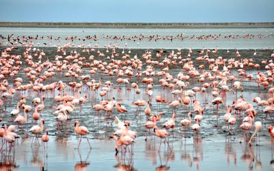 Namibia | Walvis Bay