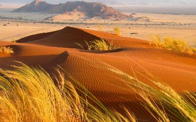 Namíbia | Kalahari Desert