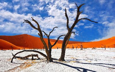 Namíbia | Sossusvlei a Deadvlei