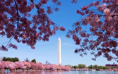 USA | Washington D.C. - Washington Monument