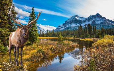 Kanada | Rockies