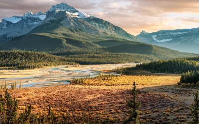 Kanada | Saskatchewan River Crossing 