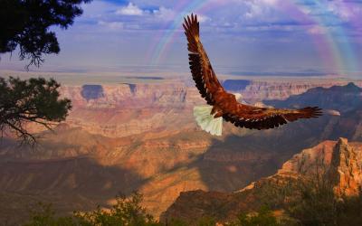 Grand Canyon NP