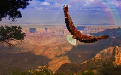 USA | Grand Canyon NP