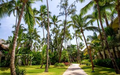 Tropical garden