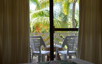 Garden room view