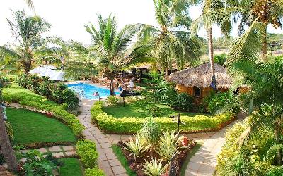 Garden and pool