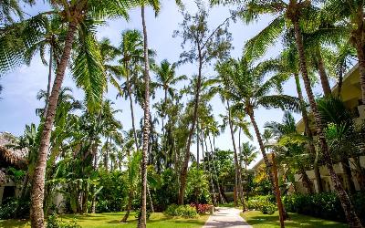 Tropical garden