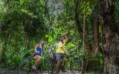 Bike Tour