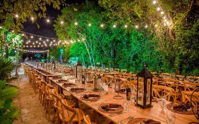 Jungle Wedding Dinning