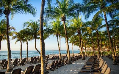 Sunbeds on the Beach