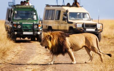 safari je dřina | Keňa