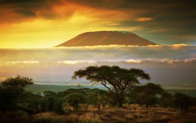 Savana v Amboseli NP, v pozadí Kilimandžáro 
 | Keňa