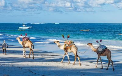 Diani Beach | Keňa