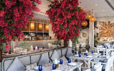 Ammos Greek Restaurant