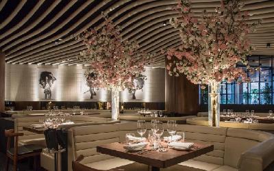 STK Restaurant