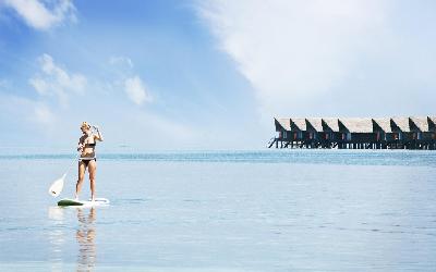 Stand Up Paddleboard