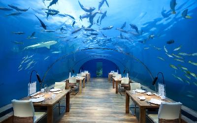 Ithaa Undersea Restaurant - 5 metres under the sea