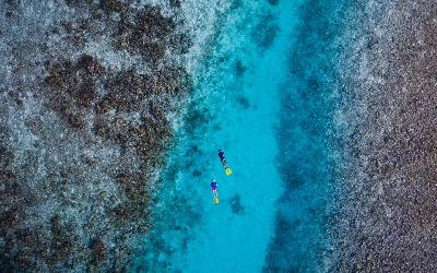 Snorkeling at Reef