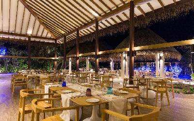 Octopus - Main Restaurant